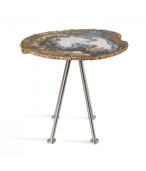 Petrified Wood Table