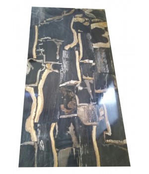 Petrified wood Rectangular...