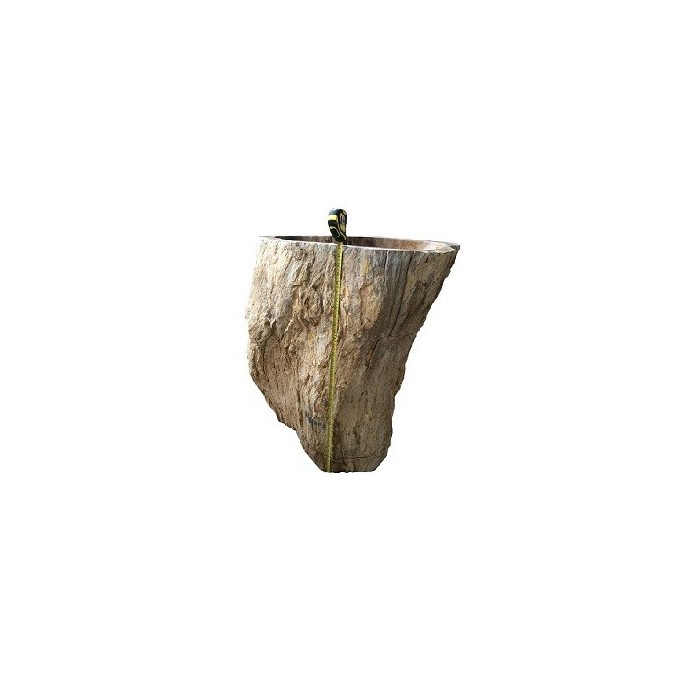 Petrified Wood Pedestal Sink