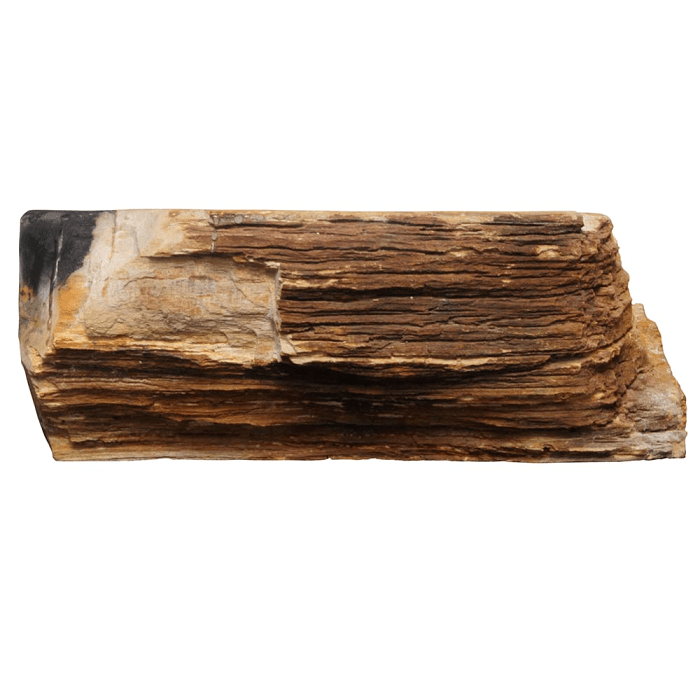 Petrified wood Rectangular Sink Petrified wood Rectangular Sink